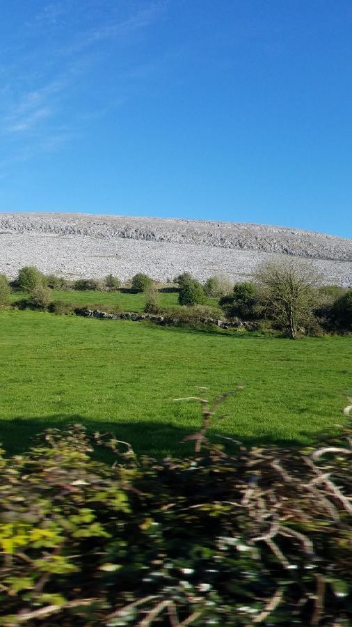 Burren Rock Farmhouse B&B Turlough  Exteriér fotografie